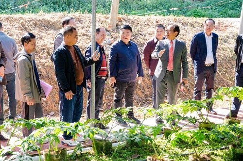 参观种植基地.jpg 参观种植基地.jpg