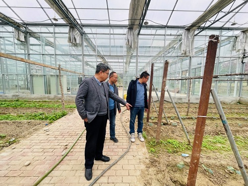 赵同胤一行实地调研畜牧系温室实验基地.jpg 赵同胤一行实地调研畜牧系温室实验基地.jpg